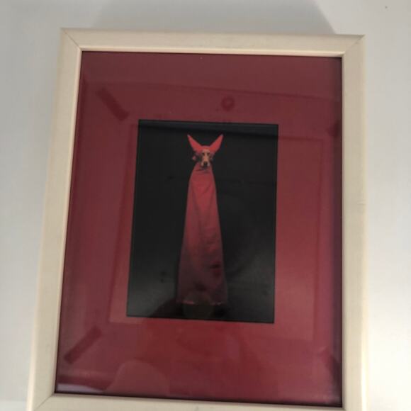 William Wegman Weimeraner Art Print "Devil Dog" Professionally Framed 11x9" - Picture 7 of 11